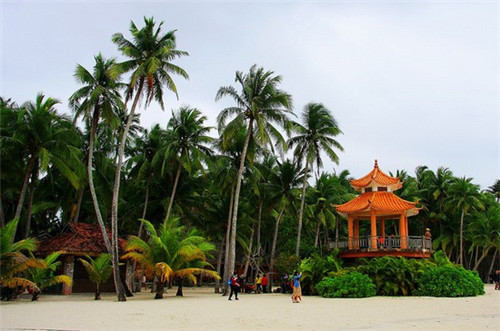 麦地初茶网红茶饮
