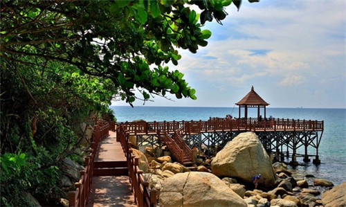 照相机品牌排名