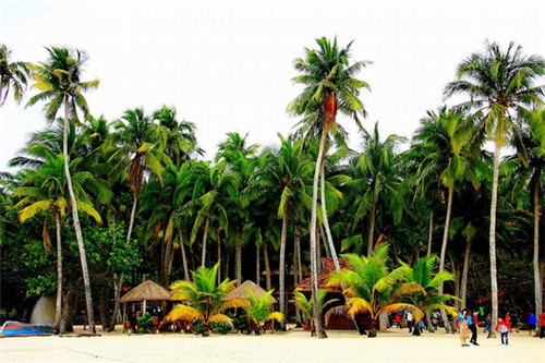 蜡火烧烤加盟费多少钱，蜡火烧烤加盟费多少