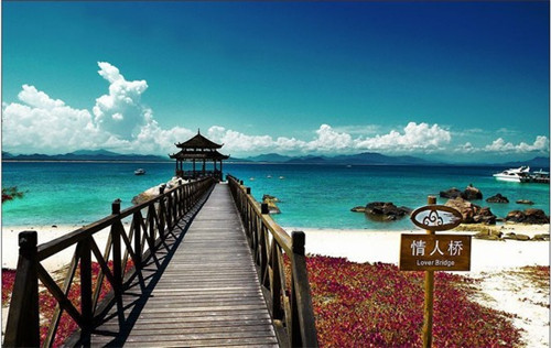 何厨木易寿司在于都县市场潜力怎么样